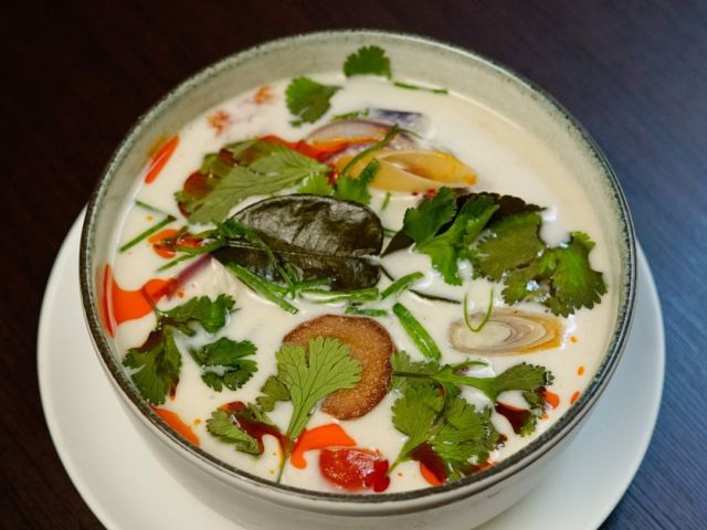 Sopa V-4