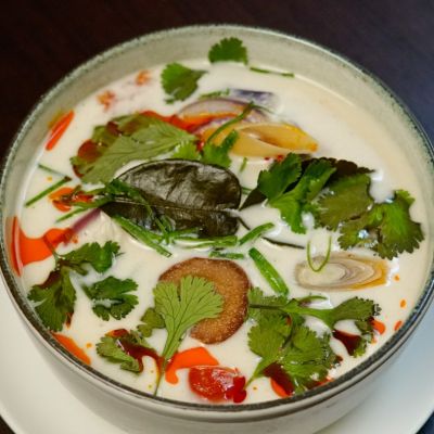 Sopa V-4